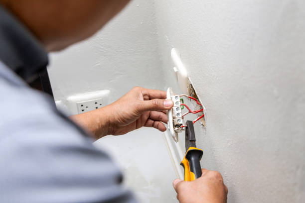 Best Electric Panel Repair  in Robbinsdale, MN